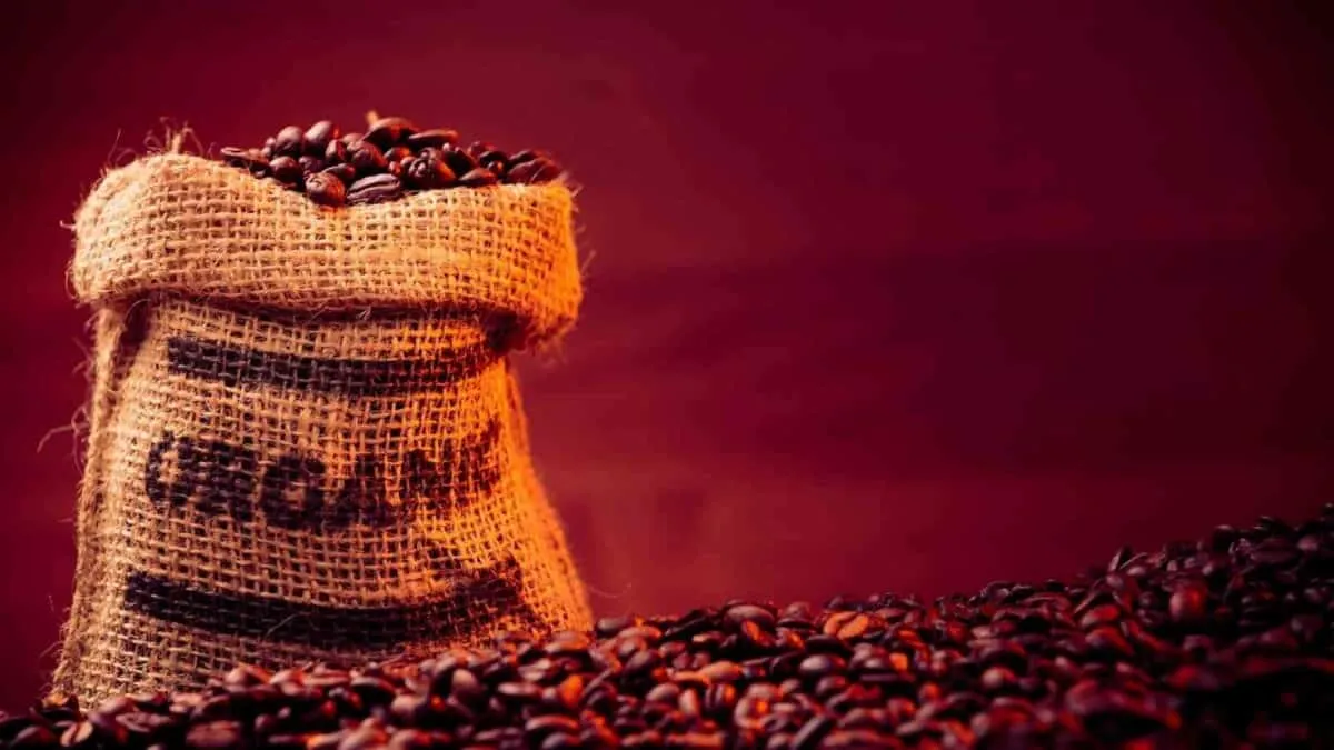 It’s important to always drink organic coffee in moderation.