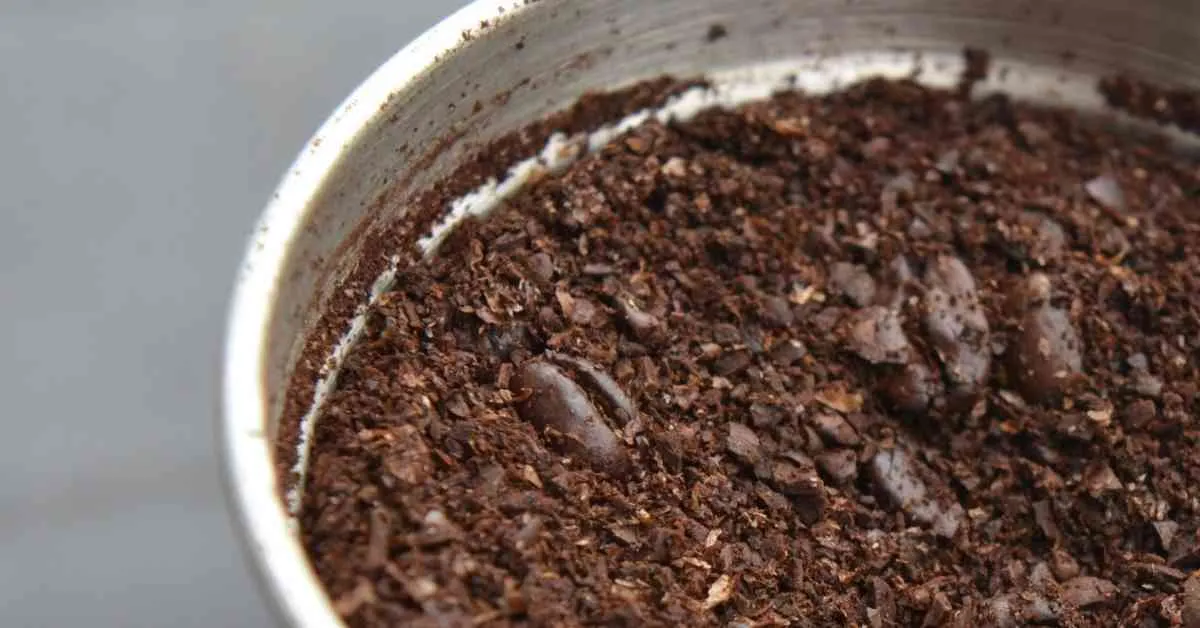 Whole Coffee Beans being Ground