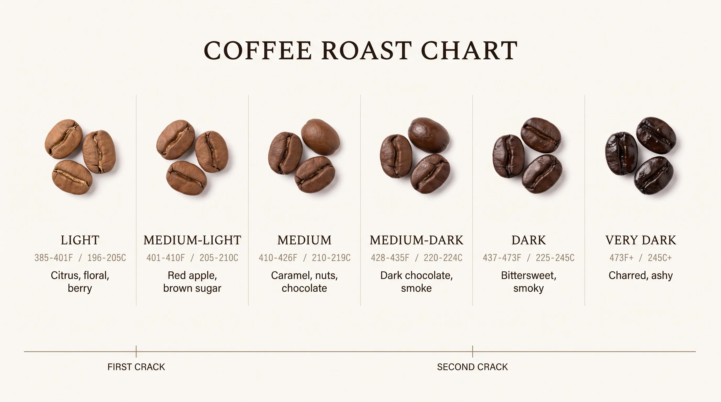 Coffee roast chart comparing six roast levels from light to very dark with bean color, finish temperature and flavor notes