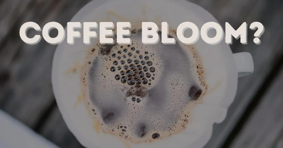 What is Coffee Bloom?