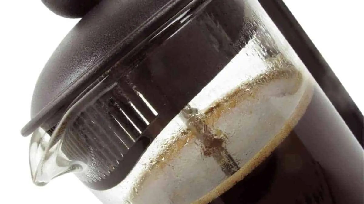 Bitter tasting foam formed on top of freshly brewed French Press Coffee