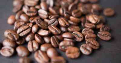 Arabica vs Robusta Coffee Beans: What is the Difference?