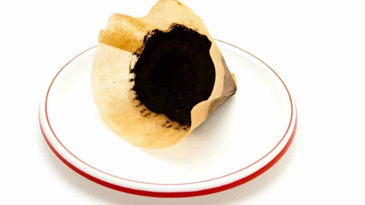 Are Bleached Coffee Filters Safe? (Should You Use Them?)