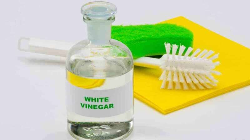 Bottle of White Vinegar used for cleaning your Percolator.