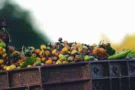 Ethiopian vs Kenyan Coffee: What is the Difference?