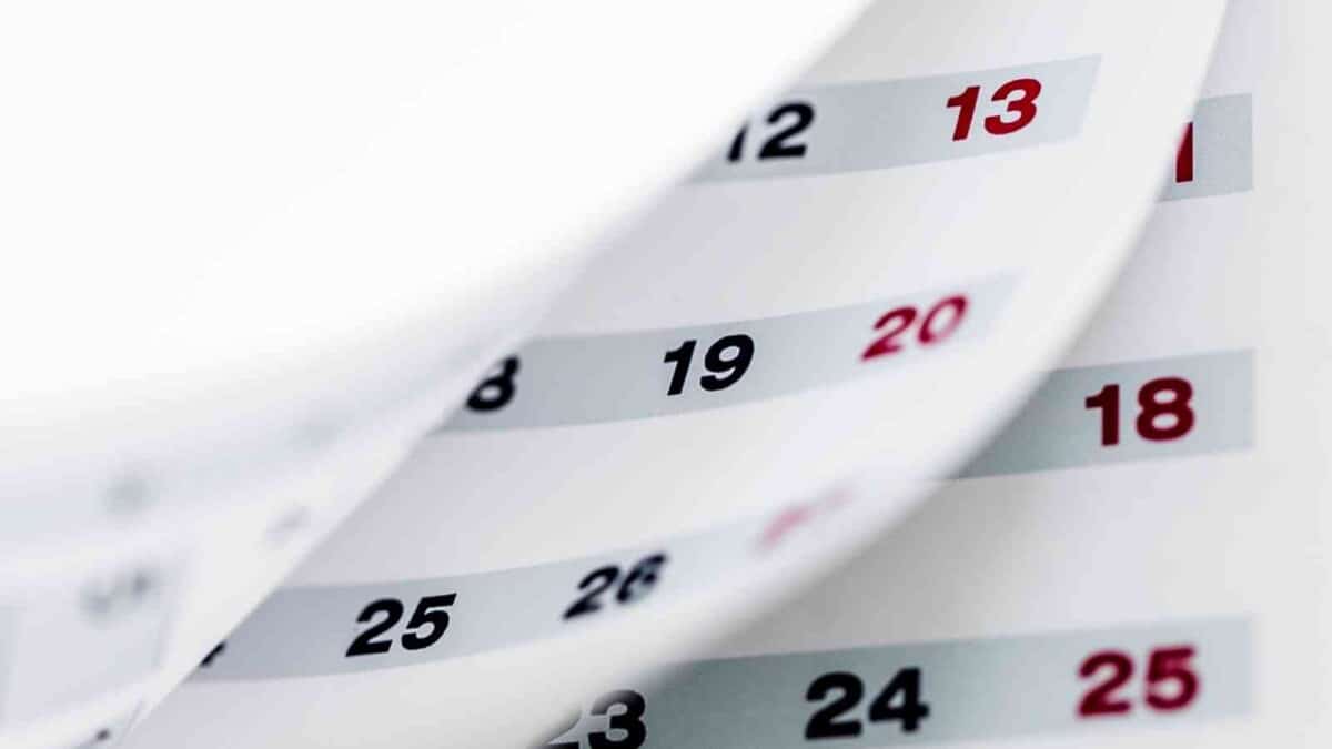 How to Clean a Breville Coffee Machine. (Step By Step)