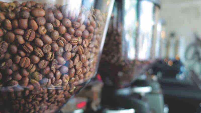 Coffee beans in a bean hopper.