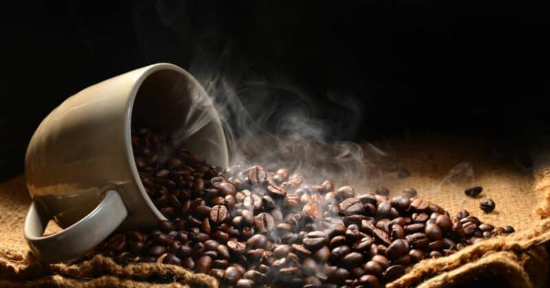 Fresh coffee beans contain more carbon dioxide and produce a better bloom.